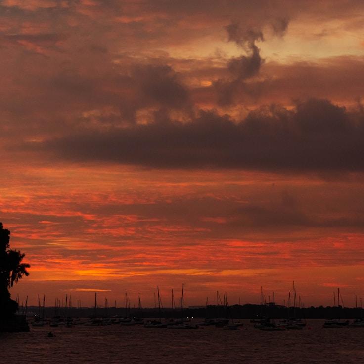 Collective festivity